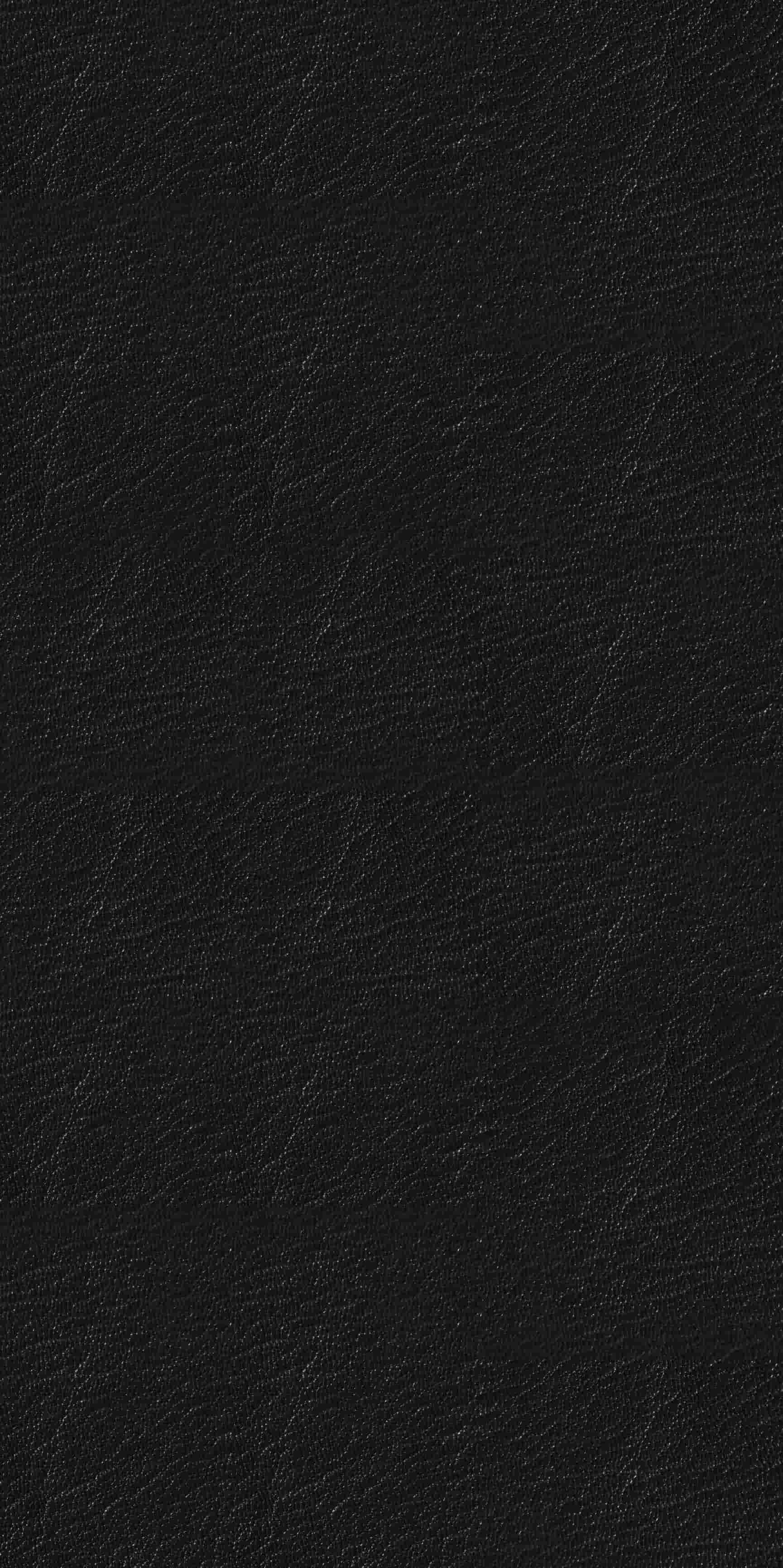 images of product FL 7024 SS Black Leather (A9)