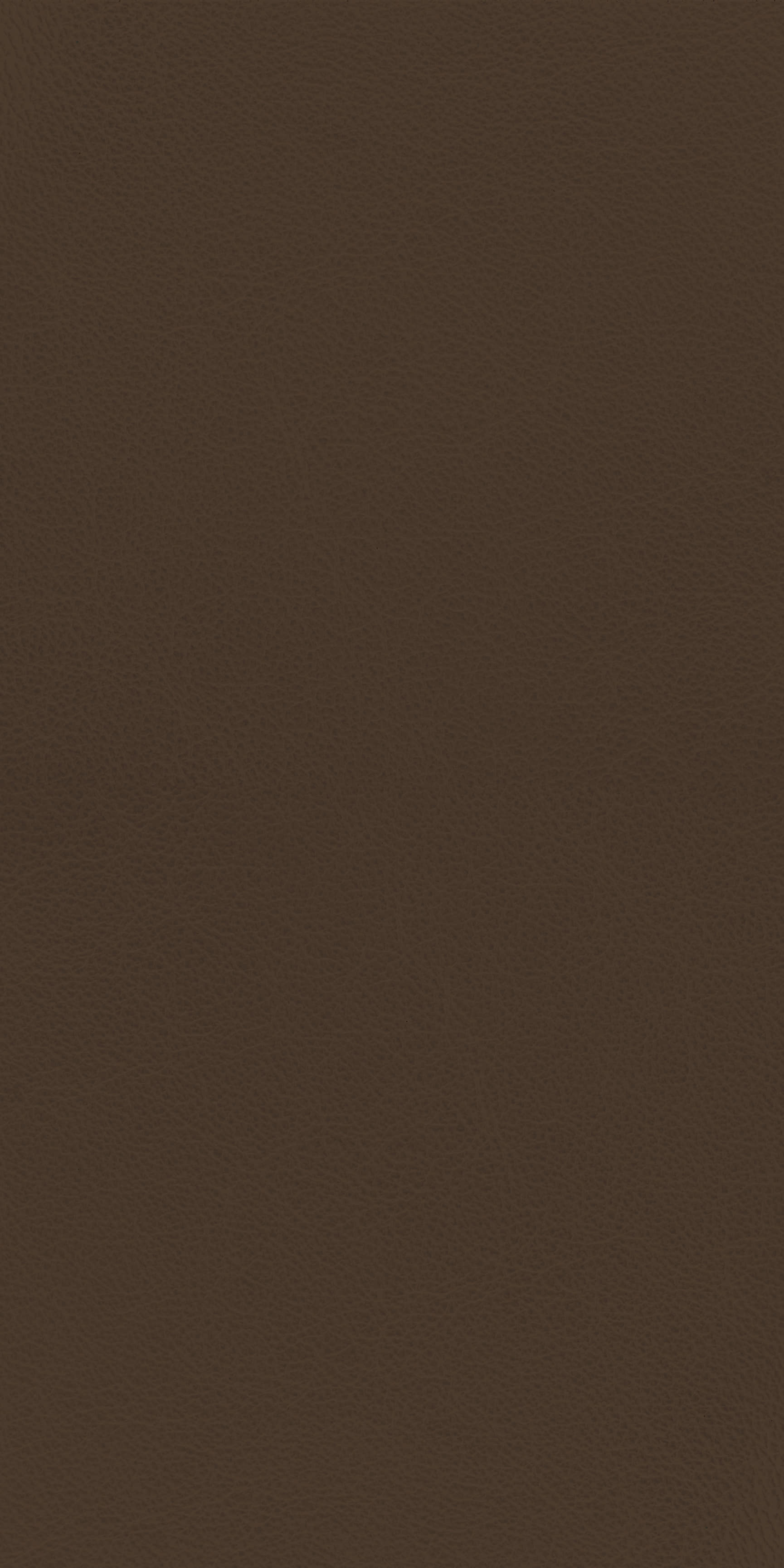 images of product FNL 73050 NL Natural Choco (A13)