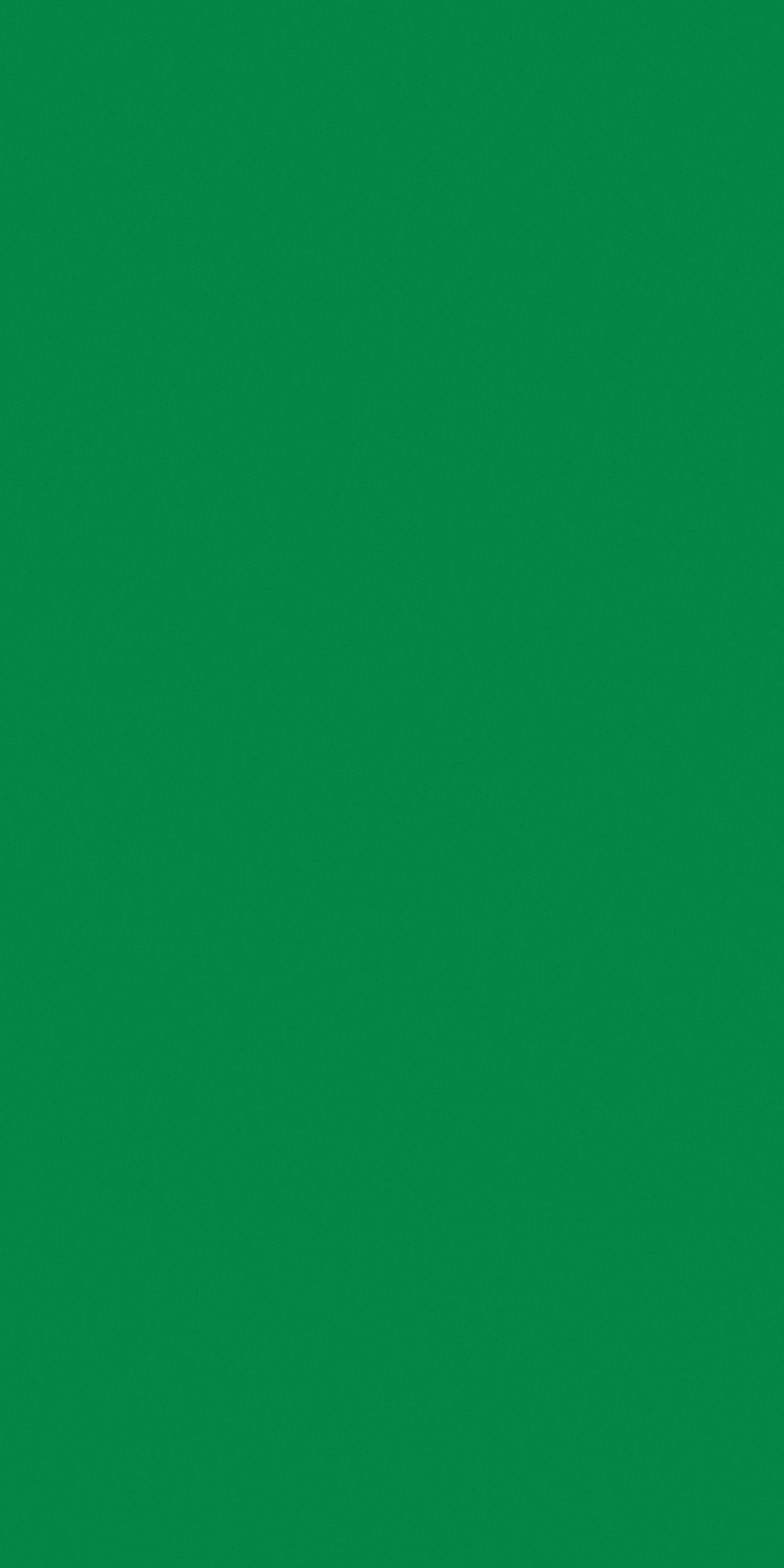images of product FS 6127 SE Forest Green (A5)