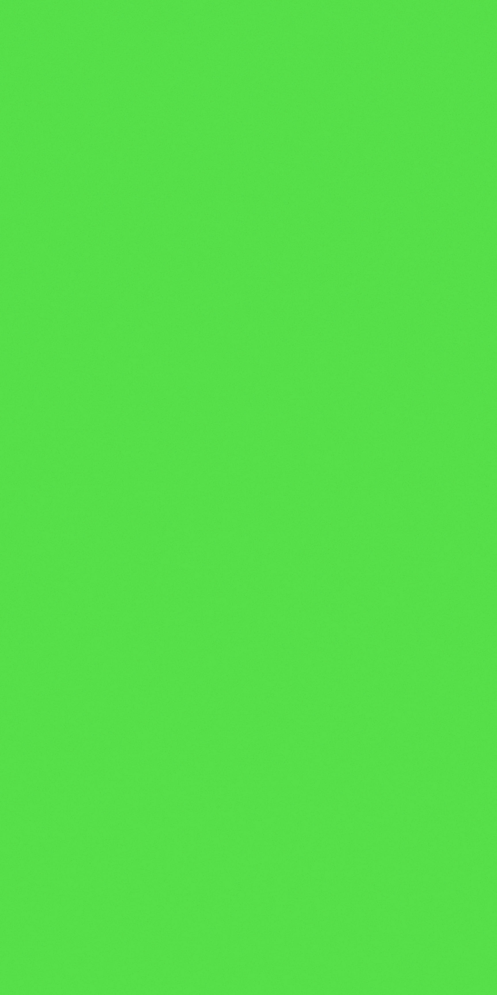 images of product FS 6128 SE Apple Green (A5)