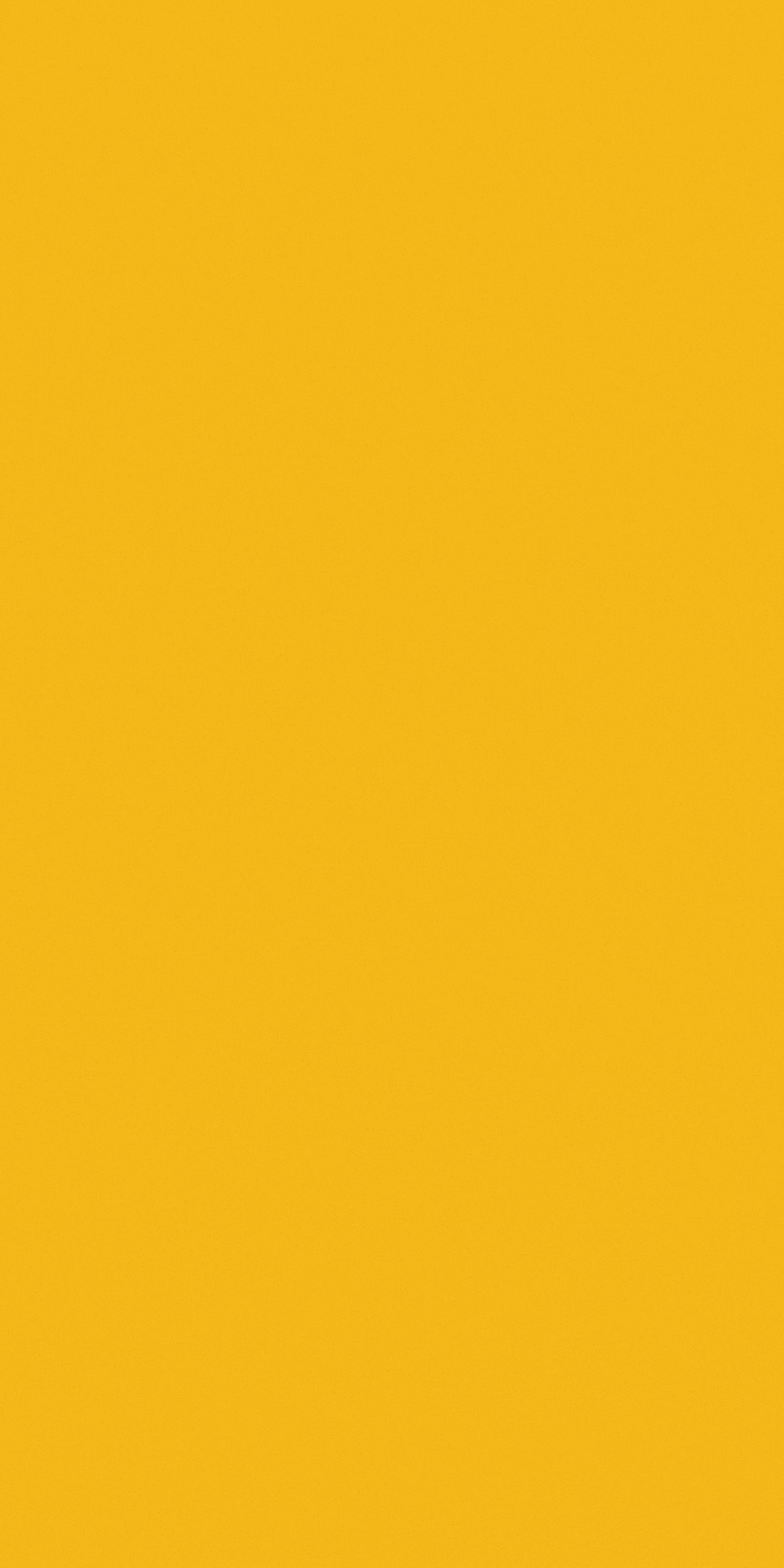 images of product FS 6161 SE Sun Yellow (A5)