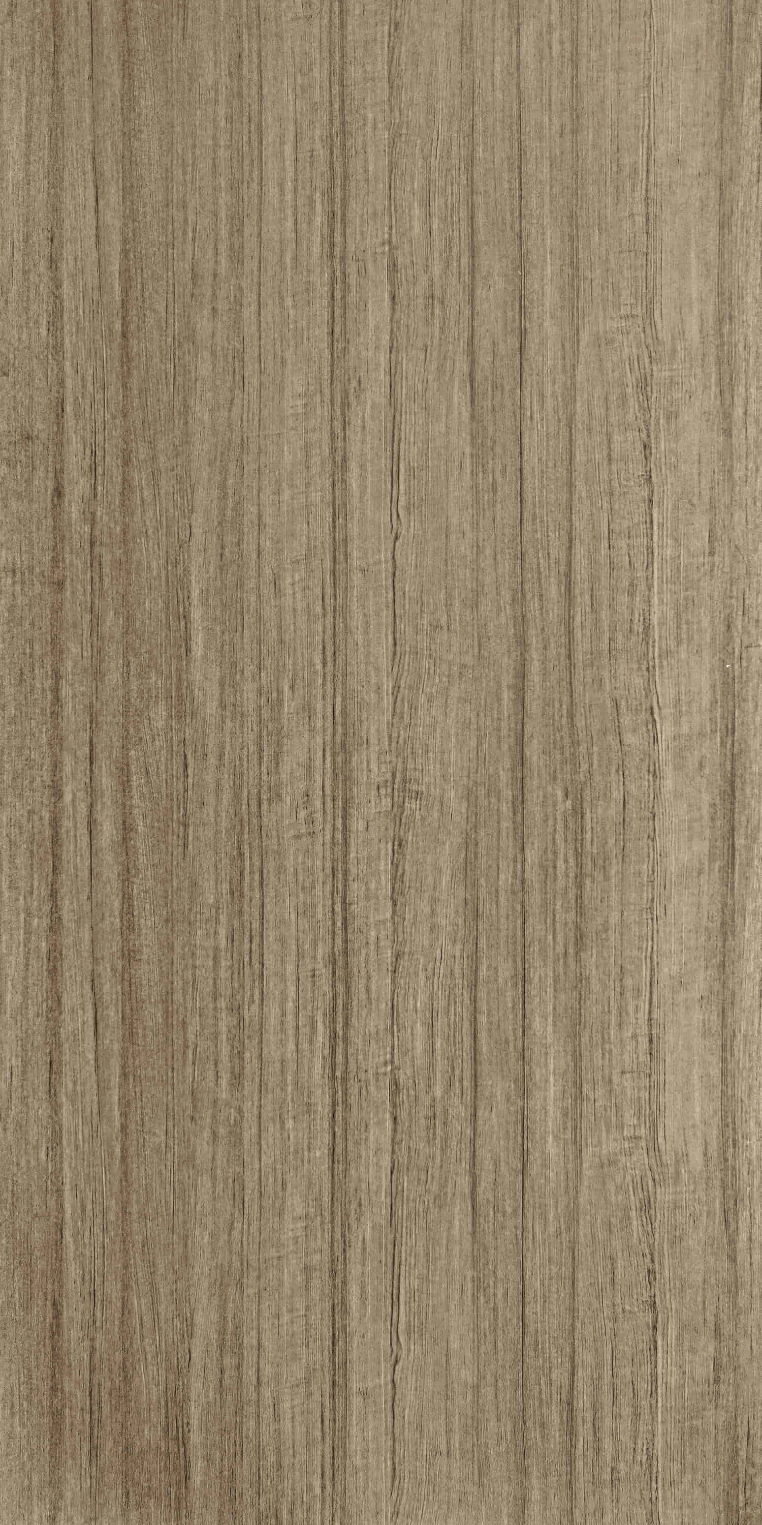 images of product FWS 6371 X Nicolo Carla (A12)