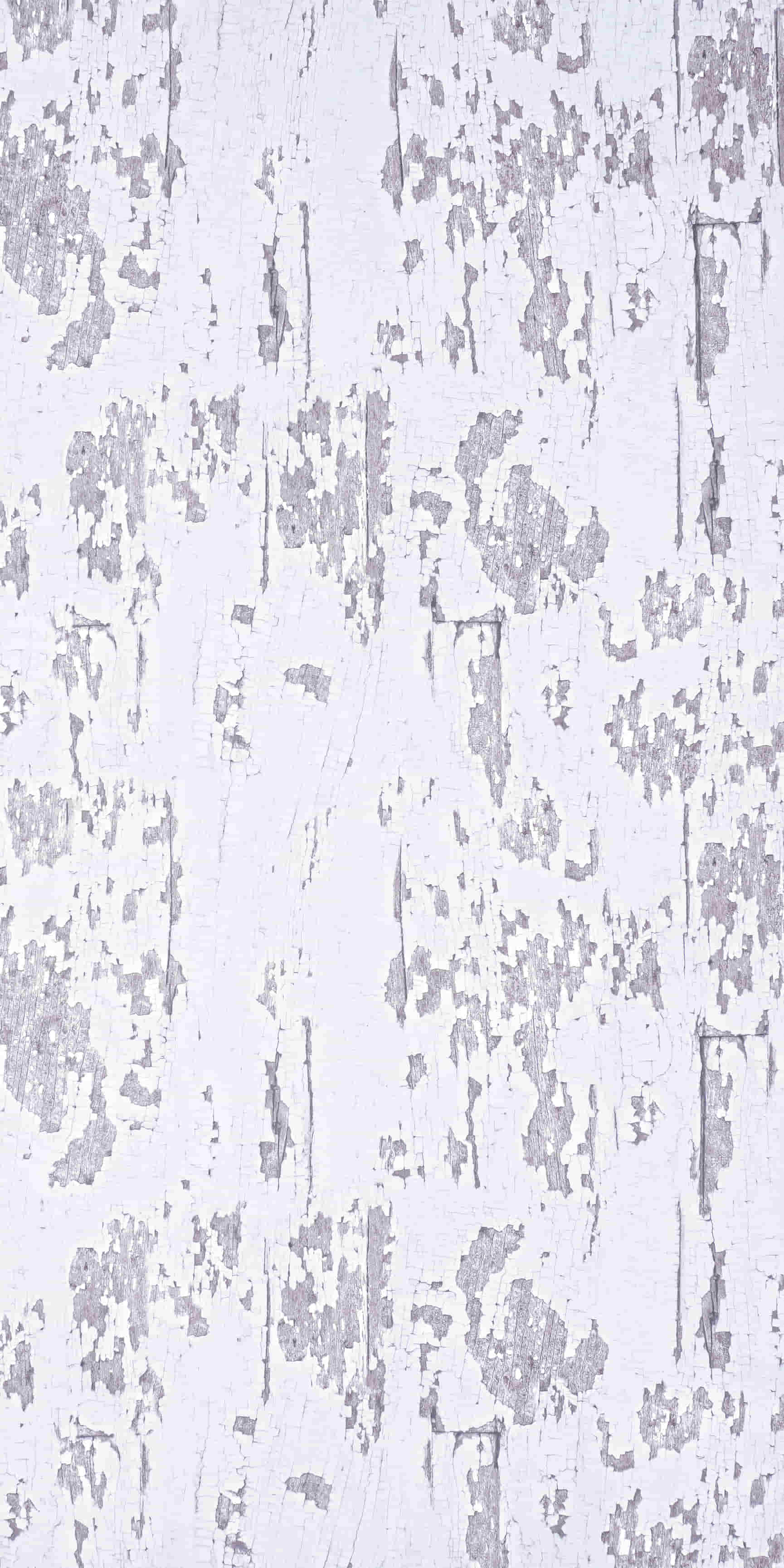 images of product FW 8392 F Veneto (A12)