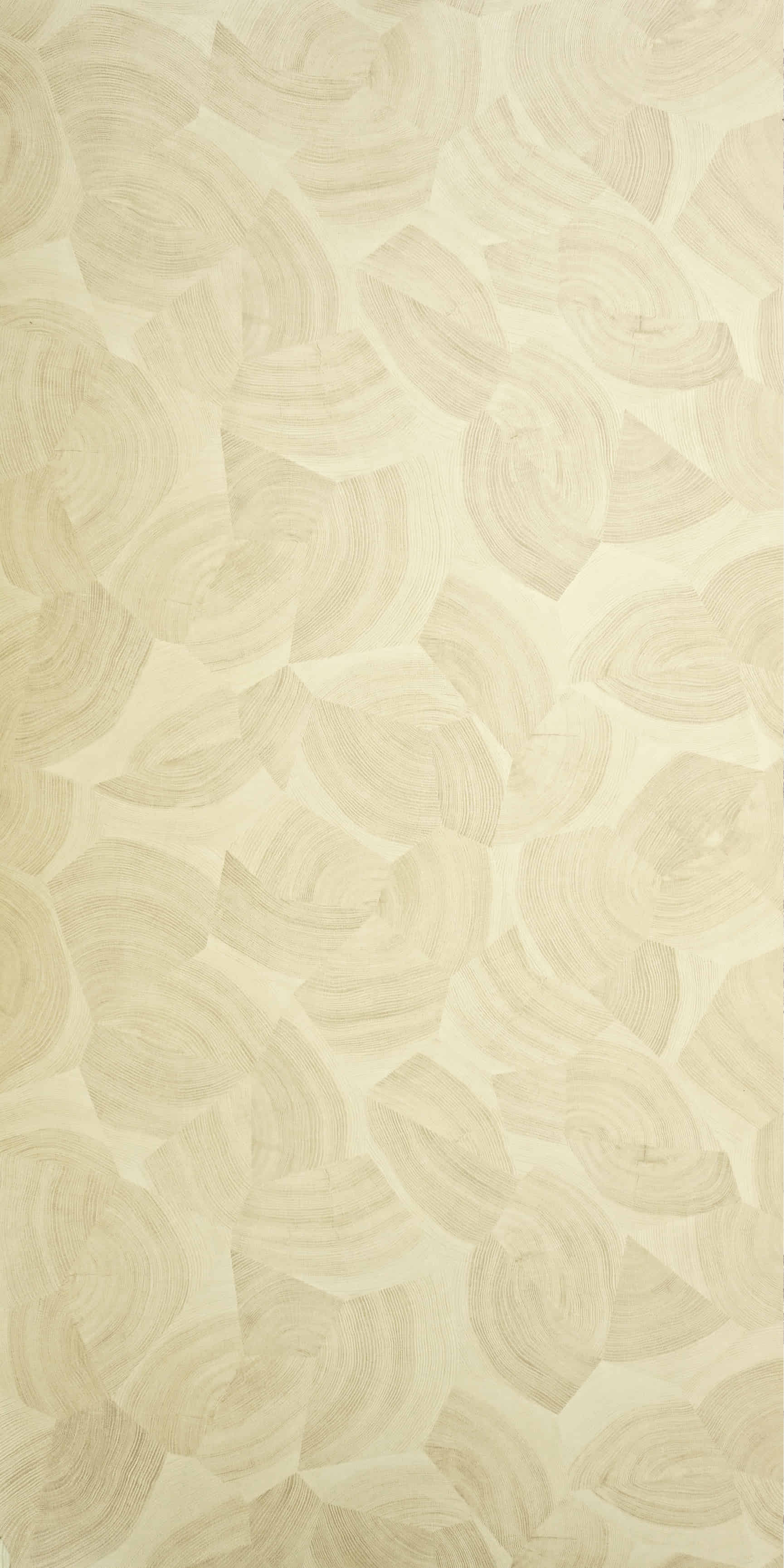 images of product FW 8453 F Aeswood (A12)