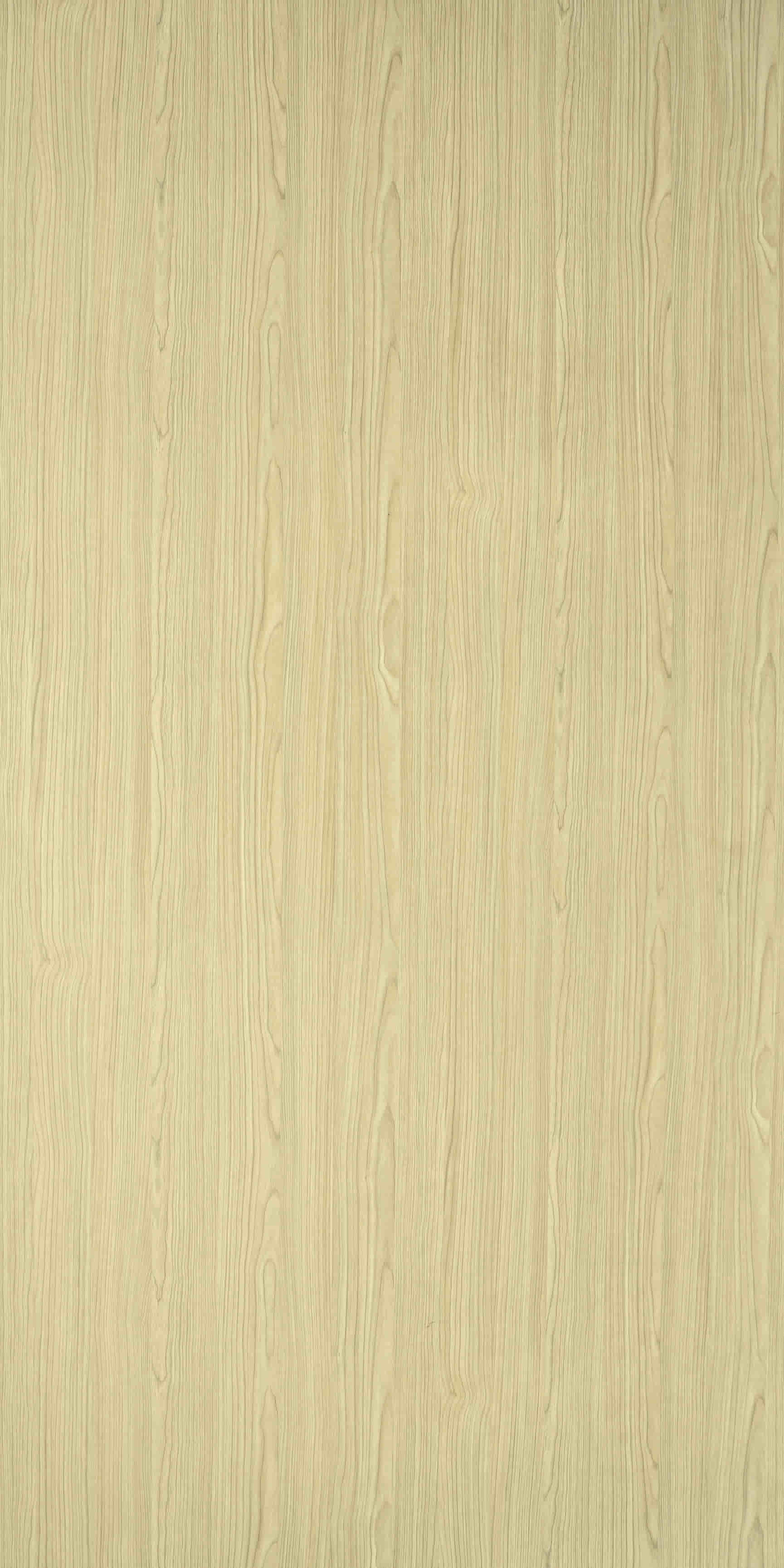 images of product FW 8743 V Iceland Maple Venner (A12)