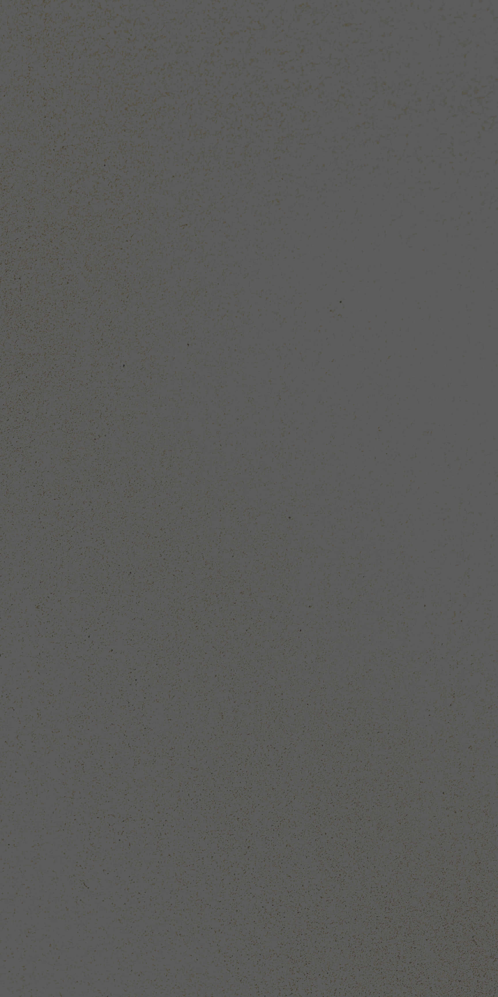 images of product RPA 4604 G Titanium (A14)